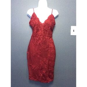 Windsor burgundy lace bodycon dress